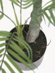 Planta artificial em vaso Palme