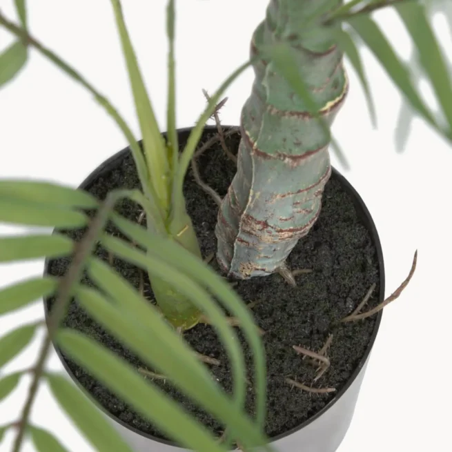 Planta artificial em vaso Palme