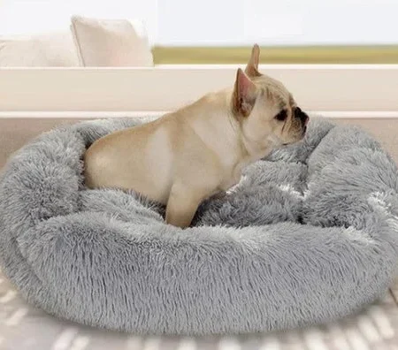 Caminha Pelúcia DogShow